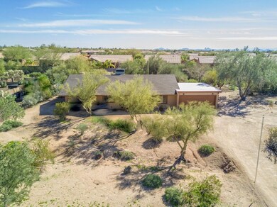 Desert Forest DRONE PHOTOS (8)