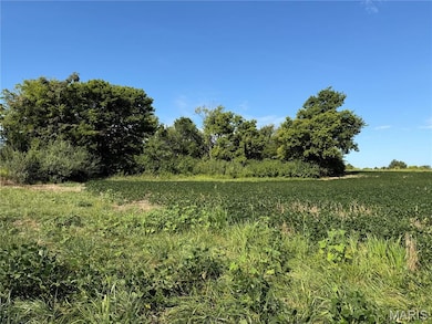 14.8 ac 6120 Kk Rd, Waterloo, IL 62298 - photo 7