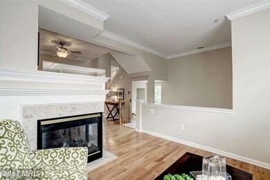 3633 Madison Ln, Falls Church, VA 22041 - photo 6