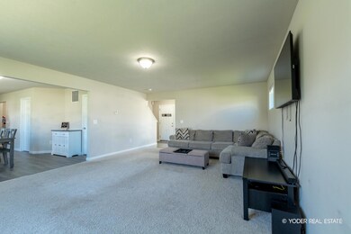9314BIGLEAFDR-6
