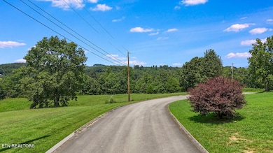 DJI_20240805133118_0002_D