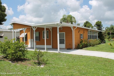 Back view