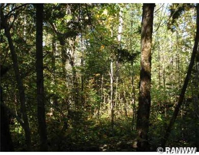 0 Edming Rd, True, WI 54526 - photo 4