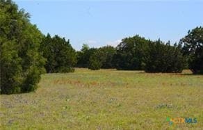 8590 W Trimmier Rd, Killeen, TX 76542 - photo 4