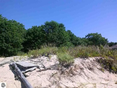 NA E Michigan Ave, Au Gres, MI 48703 - photo 4