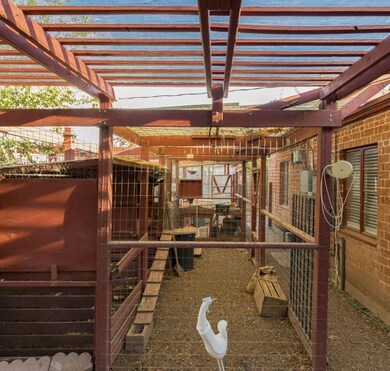 Backyard_Chicken_Coop_2
