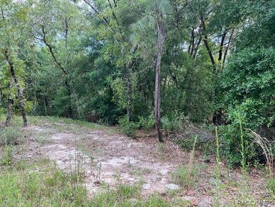 1108 E Van Gogh Ct, Hernando, FL 34442 - photo 3