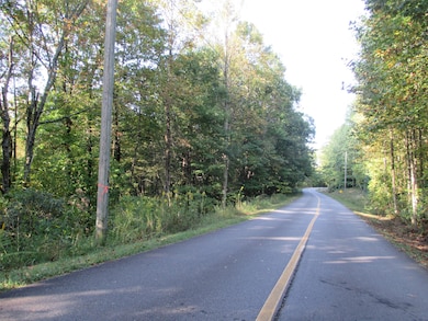 519 Lower Sassafras Pkwy, Jasper, GA 30143 - photo 6