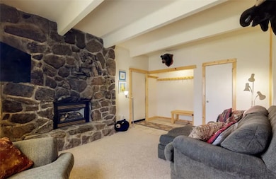 370 E La Bonte St unit 101, Dillon, CO 80435 - photo 4
