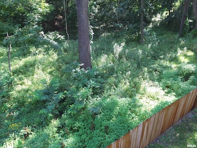 1004 34th Ave, Moline, IL 61265 - photo 2