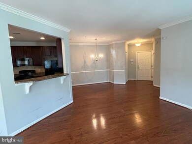 5307 Wyndholme Cir unit 101, Baltimore, MD 21229 - photo 7