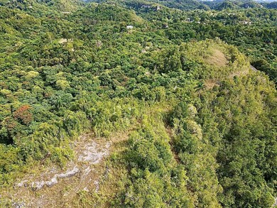 PR-446 Km 7 5, Isabela, PR 00662 - photo 5