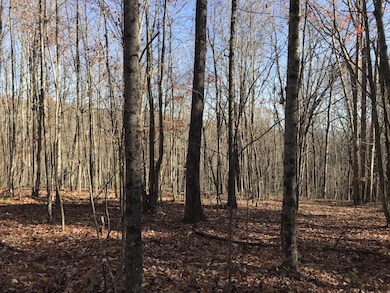 5 Hobbstown Rd, Dunlap, TN 37327 - photo 4