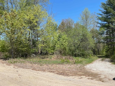 AS YOU ENTER THE LAND FROM ROUTE 16, THE DRIVEWAY WILL SPLIT