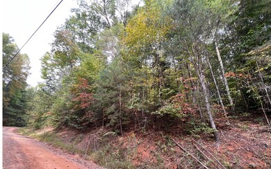 Additional View