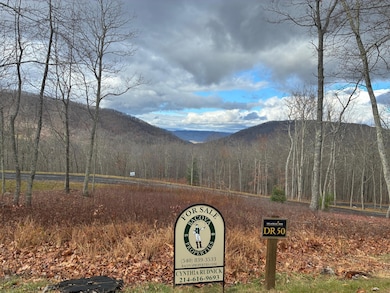 DR #50 N Forest Trail, Hot Springs, VA 24445 - photo 2