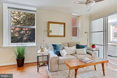 1438 Meridian Place NW unit 105, Washington, DC 20010 - photo 5