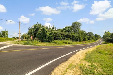 00 N Highway 101, Greer, SC 29651 - photo 6