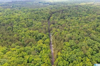 0000 Highway 26, Alabaster, AL 35007 - photo 5