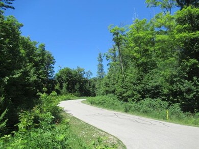 Development Chapel Hill Dr unit All Avail HOA Lots, Bear Creek Township, MI 49770 - photo 6