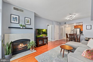 Clarendon 1021 unit 328, Arlington, VA 22201 - photo 7