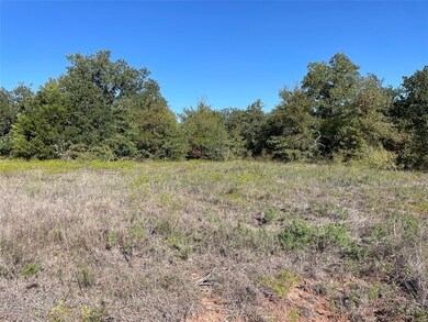 149 Paradise Oaks Ct, Paradise, TX 76073 - photo 3