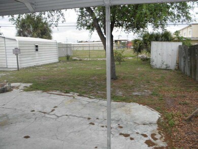 Back yard