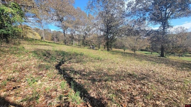 490-00001-008 Fox Chase Dr, Flippin, AR 72634 - photo 3