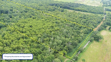 Tbd E Admiral Doyle, New Iberia, LA 70560 - photo 4