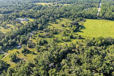 0 NE Highway 27 Alternate Route, Chiefland, FL 32626 - photo 4