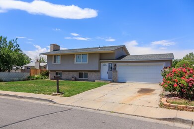 1213-Camina-Hermosa-2