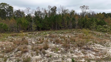 TBD Sarvis Dr, Loris, SC 29569 - photo 4