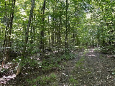 00 Mcmillan Rd, Whitingham, VT 05342 - photo 5