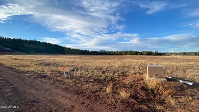 IMG-3063