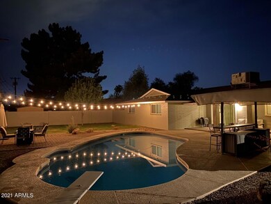 backyard at night 4