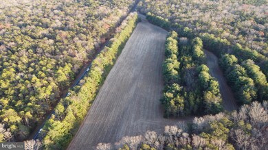 0 Route 347 and Carlisle Place Rd unit NJCB2027664, Dorchester, NJ 08316 - photo 2