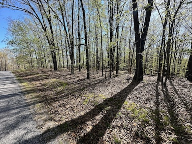 L42a & 43a Eaglecrest Rd, Cape Fair, MO 65624 - photo 2