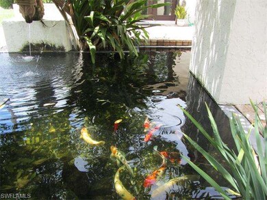Koi Pond