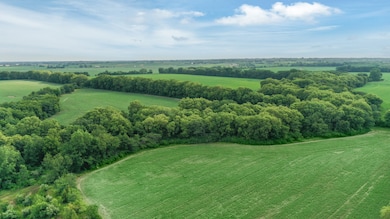 0 N 29th Rd unit MRD12223041, Ottawa, IL 61350 - photo 6