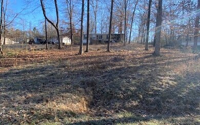 935 Sumach Church Rd, Chatsworth, GA 30705 - photo 2