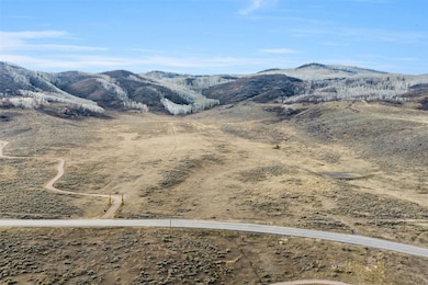 29250 Lakeside Ln, Oak Creek, CO 80467 - photo 3