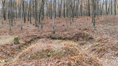 DJI_20251029110937_0123_D