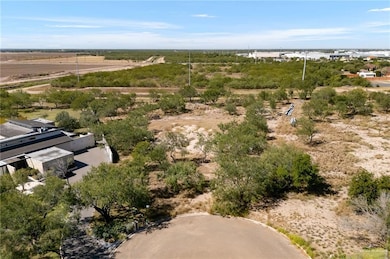 1514 Woods Dr, Mission, TX 78572 - photo 4