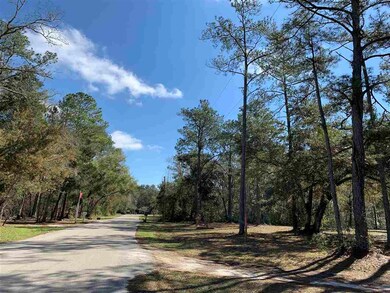 TBD Mill Creek Rd, Crawfordville, FL 32327 - photo 3