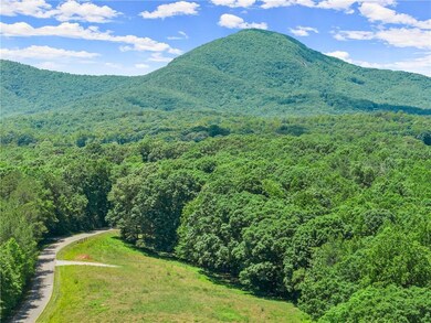 0 Arthur Allen Rd unit 7683303, Cleveland, GA 30528 - photo 5