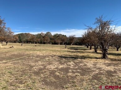 23687 Ute Trail Rd, Cedaredge, CO 81413 - photo 6