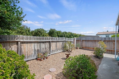 05 - Side Yard