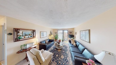 123 Whipple St unit 29, Worcester, MA 01610 - photo 5