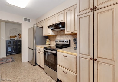 Blair House unit 507, Akron, OH 44303 - photo 2