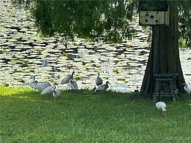 2435 S Summerwood Point, Inverness, FL 34450 - photo 2